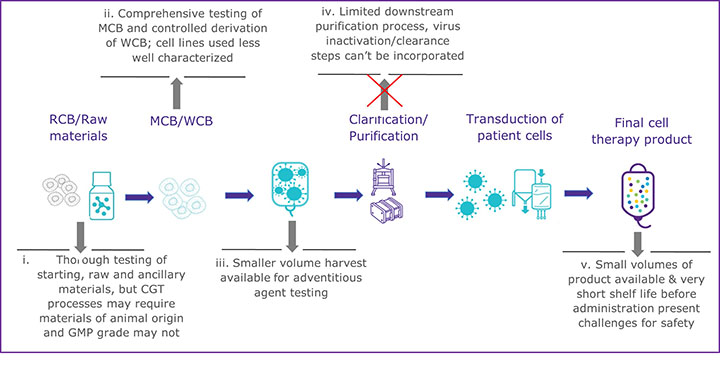 Nucleic Acid Testing Methods Figure 1b