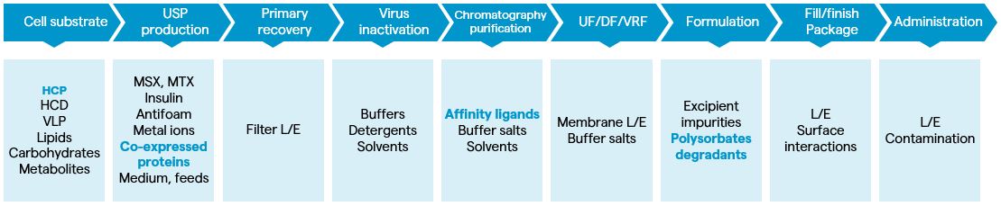 A step-by-step process of the holistic view