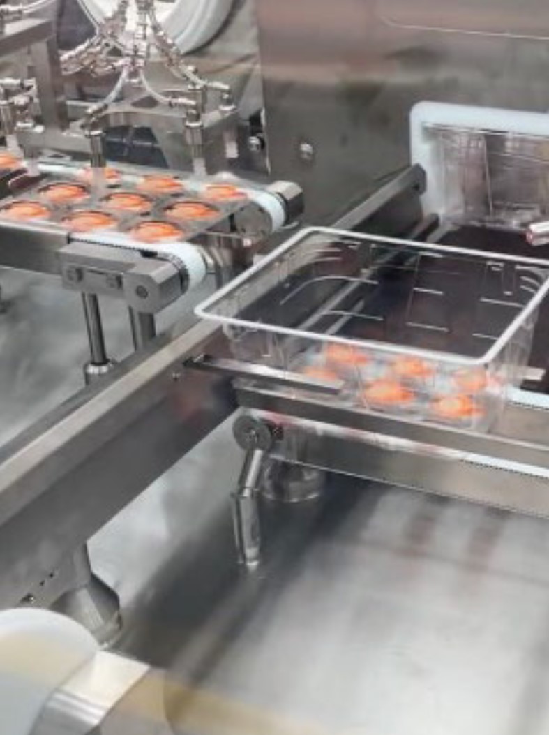 A manufacturing facility with patches being collected