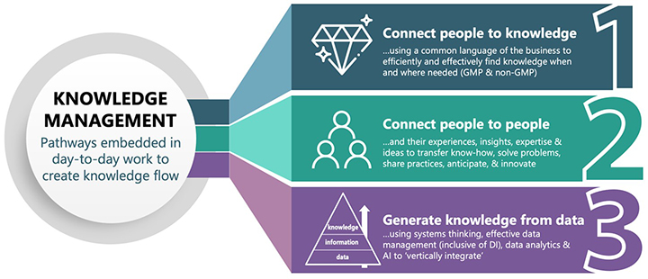 A chart showing 3 different levels of Knowledge Management