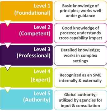 Standardized Capability Levels with (Simplified) Description Examples