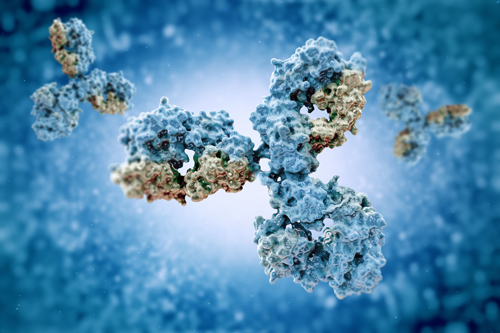 Monoclonal Antibodies